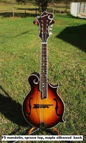 Des ANTHONY Pic 3 - F5 style mandolin