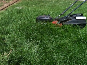 JoJohn's Lawn & Garden Care Service Pic 5