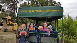 Rayners Orchard Pic 2