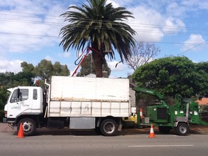 Assured Tree Services Pic 3 - Mulch Truck with Chipper