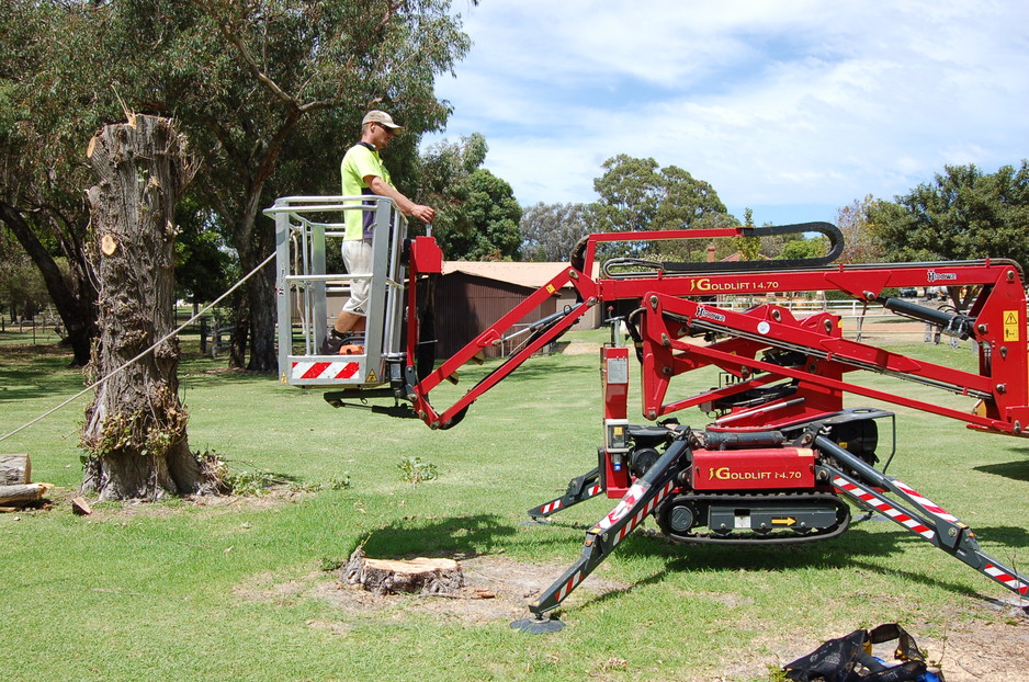 Assured Tree Services Pic 1 - Narrow Access Cherry Picker fits through standard doorgate to prune your difficult to access trees