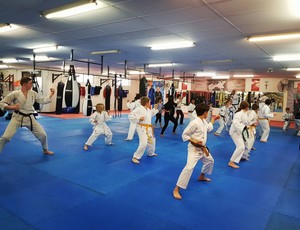 Pollets Martial Arts Centre Pic 4