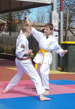 Pollets Martial Arts Centre Pic 5