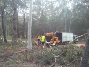 KRC Tree Removals Pic 5