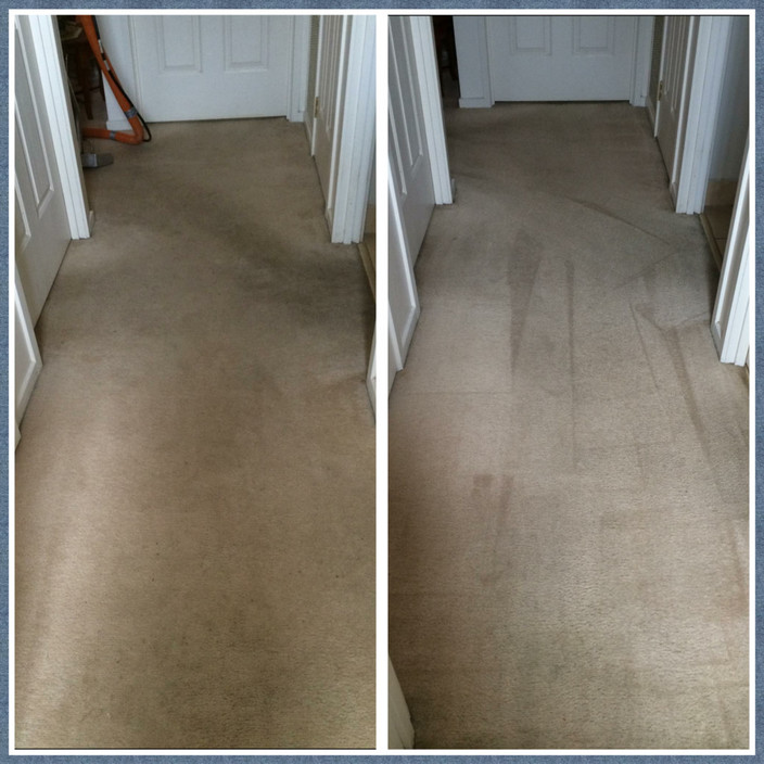 Steam-X Carpet & Upholstery Cleaning Pic 1