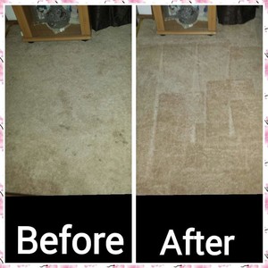 Steam-X Carpet & Upholstery Cleaning Pic 2