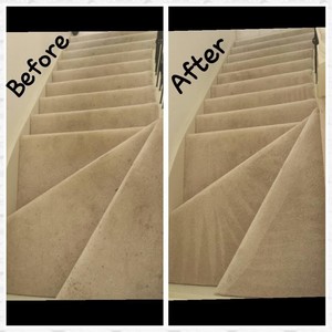 Steam-X Carpet & Upholstery Cleaning Pic 3