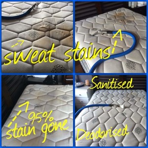 Steam-X Carpet & Upholstery Cleaning Pic 4