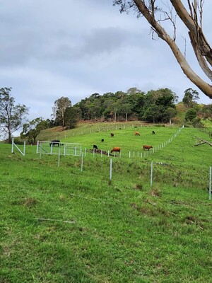 Agtech Fencing Solution Pic 4