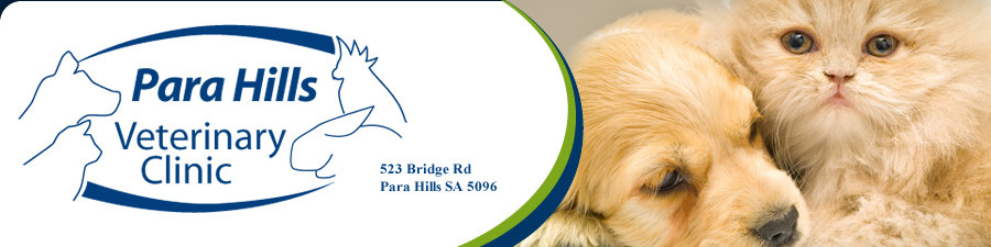 Para Hills Veterinary Clinic Pic 1