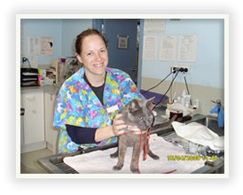 Para Hills Veterinary Clinic Pic 5 - Dr Cathy Skinner