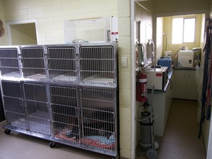 Mount Isa Veterinary Surgery Pic 2 - For maximum hygiene most patients are accommodated in stainless steel compartments