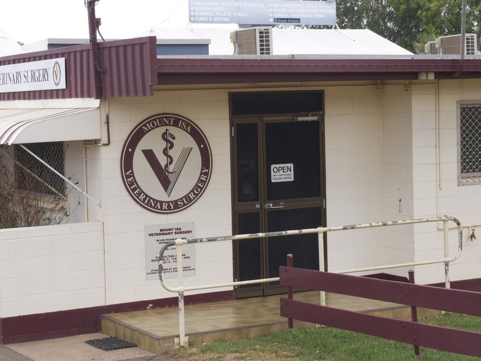 Mount Isa Veterinary Surgery Pic 1 - The entry railing gets a lot of wear and tear from dog chains