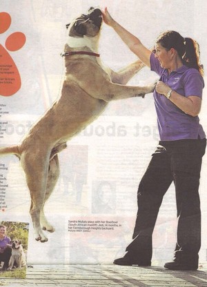 Naughty Dog School Pic 3 - Illawarra Mercury featured Sandra in the Weekender