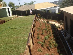 landscaper brisbane Pic 3 - sir walter turf and wall