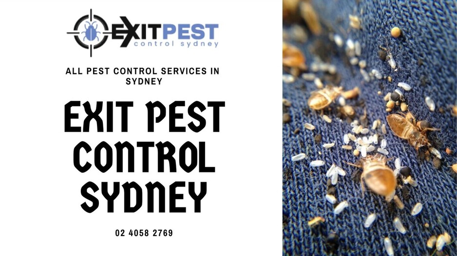 Exit Rodent Control Sydney Pic 1