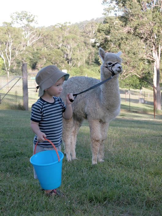 Paltarra Park Alpacas B&B Pic 1