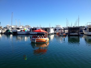 Eco BBQ Boats Pic 4