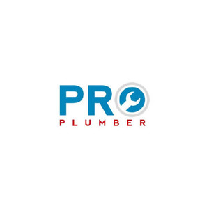 Pro Plumber Pic 2 - Our Logo