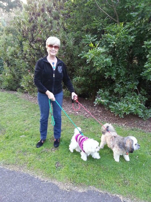 Dog Minding and Holiday Home Care Pic 1 - Love on a Leash