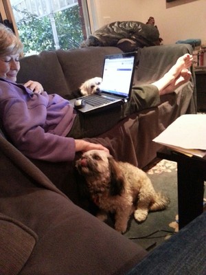 Dog Minding and Holiday Home Care Pic 2 - Relaxing with a cuddle after a hard day of fun