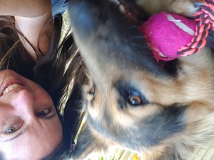 Precious Paws Dog Walking & Pet Sitting Pic 5 - German Shepherd and pet sitter