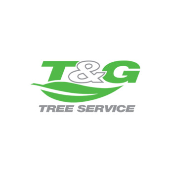 T&g Tree Services Pic 1