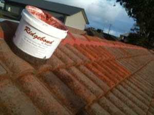 Thompsons Roofing Vic Pic 1 - Roof repointing