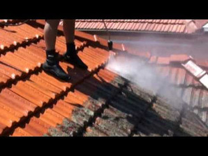 Thompsons Roofing Vic Pic 5 - Roof cleaning