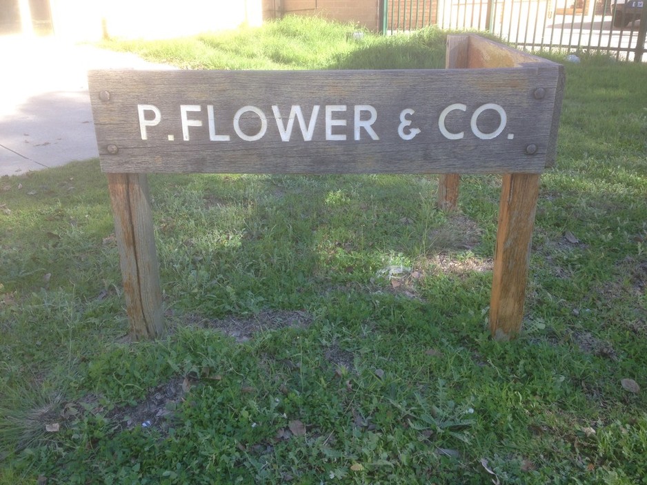 Flower P & Co Pic 2