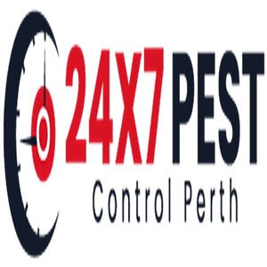 Spider Control Perth Pic 5