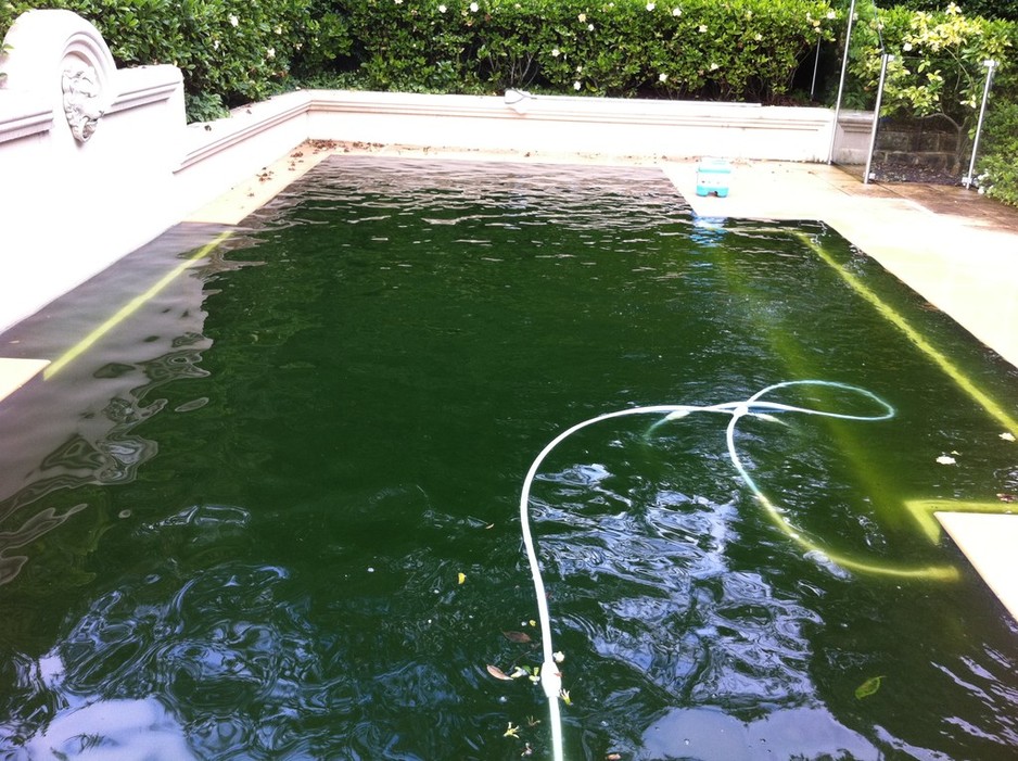 East Coast Pool Care Pic 1