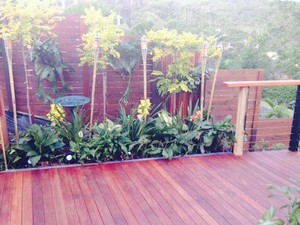 QUALITY CARPENTRY SERVICES Pic 3 - Hardwood jarrah deck with planter box