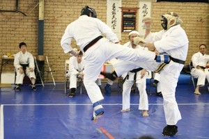 Japanese Academy of Martial Arts Pic 5