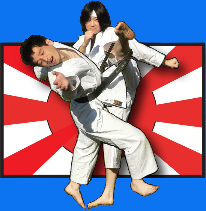 Japanese Academy of Martial Arts Pic 1 - Japanese Academy of Martial Arts