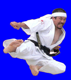 Japanese Academy of Martial Arts Pic 2 - Flying sidekick