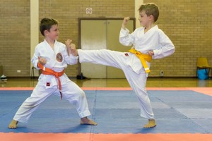 WSKF Australia - Doubleview Karate Club Pic 2