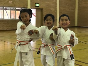 WSKF Australia - Doubleview Karate Club Pic 4