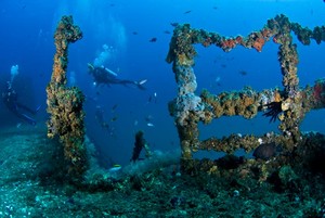 Sunreef Scuba Diving Services Pic 5 - Dive the HMAS Brisbane