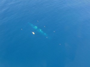 Sunreef Scuba Diving Services Pic 3 - HMAS Brisbane from the air