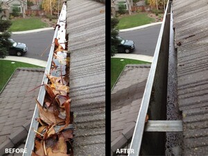 Solar Wash Pic 4 - Professional gutter cleaning