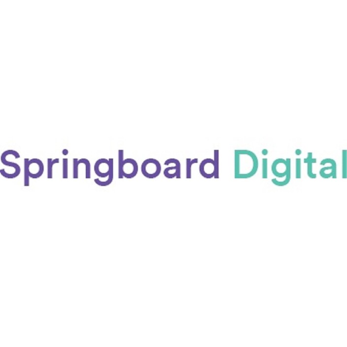 Springboard Digital Pic 1