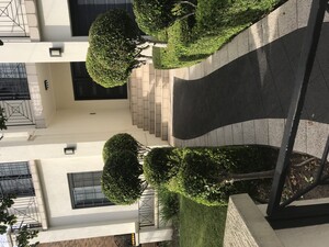 Able Lawns & Gardening Service Pic 3