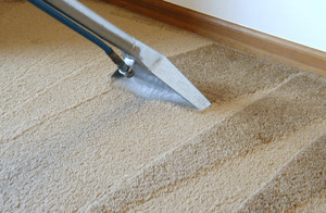 Dirt2tidy Cleaning Services Pic 5 - Carpet Steam Cleaning