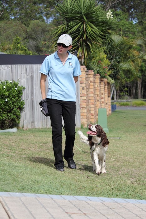 One on One Dog Training Pic 1