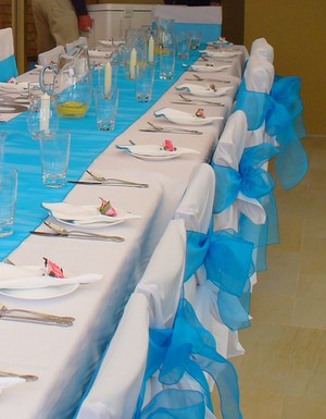 idocovers Pic 3 - Turquoise blue sash