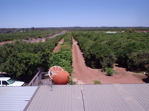 Orange World Pic 2 - Its big no doubt about that