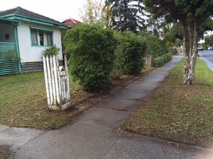 Express Lawn Mowing Lyndhurst Pic 2 - Front mowing and edging