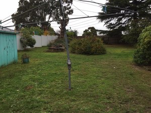 Express Lawn Mowing Lyndhurst Pic 3 - Open land treated