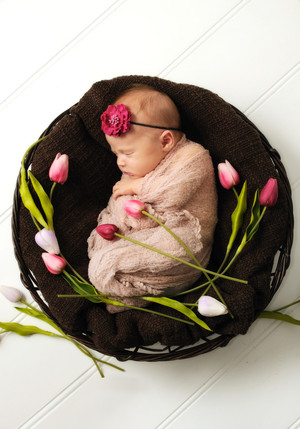 Nancello Photo Pic 3 - Newborn photographer Gold Coast QLD